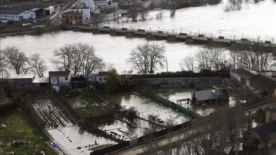 Daños en los cultivos tras la crecida del rio Ebro a su paso por la N-113 Pamplona-Madrid en Castejón Daños en los cultivos tras la crecida del rio Ebro a su paso por la N-113 Pamplona-Madrid en Castejón