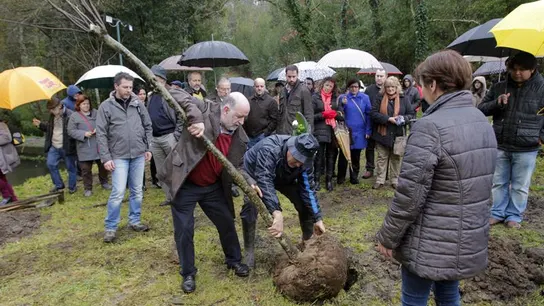 El ‘Jardín del Recuerdo’, creado en el primer aniversario de la tragedia ferroviaria de Angrois El ‘Jardín del Recuerdo’, creado en el primer aniversario de la tragedia ferroviaria de Angrois