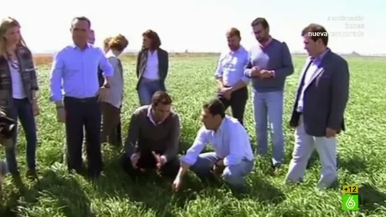 La cúpula del PP andaluz en el campo La cúpula del PP andaluz en el campo
