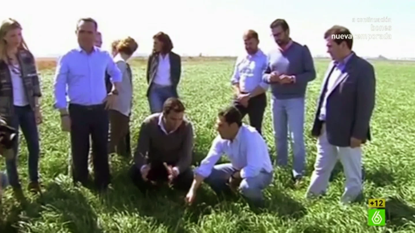 La cúpula del PP andaluz en el campo La cúpula del PP andaluz en el campo
