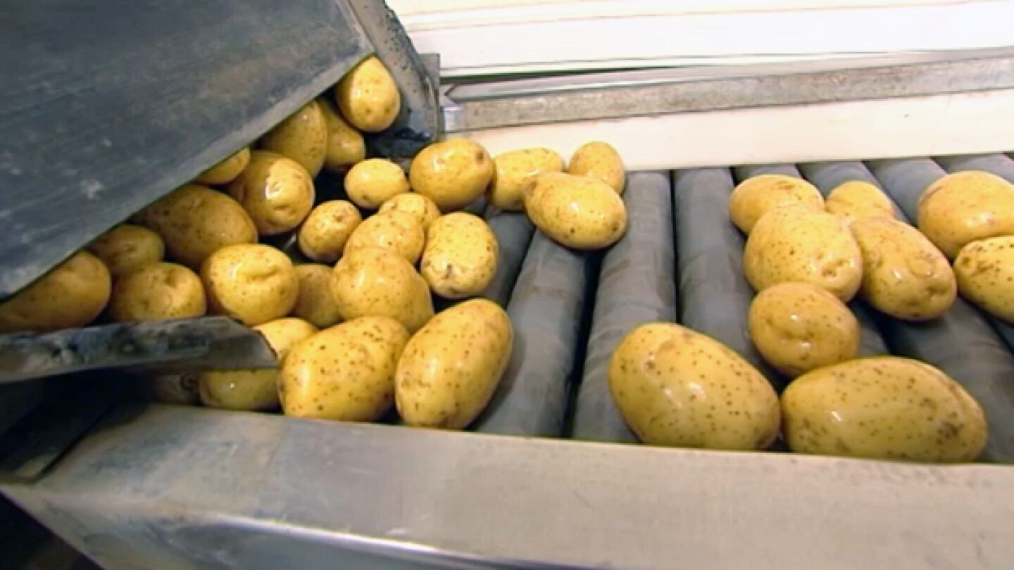 Las patatas de conservaci&oacute;n, en 'El precio de los alimentos'