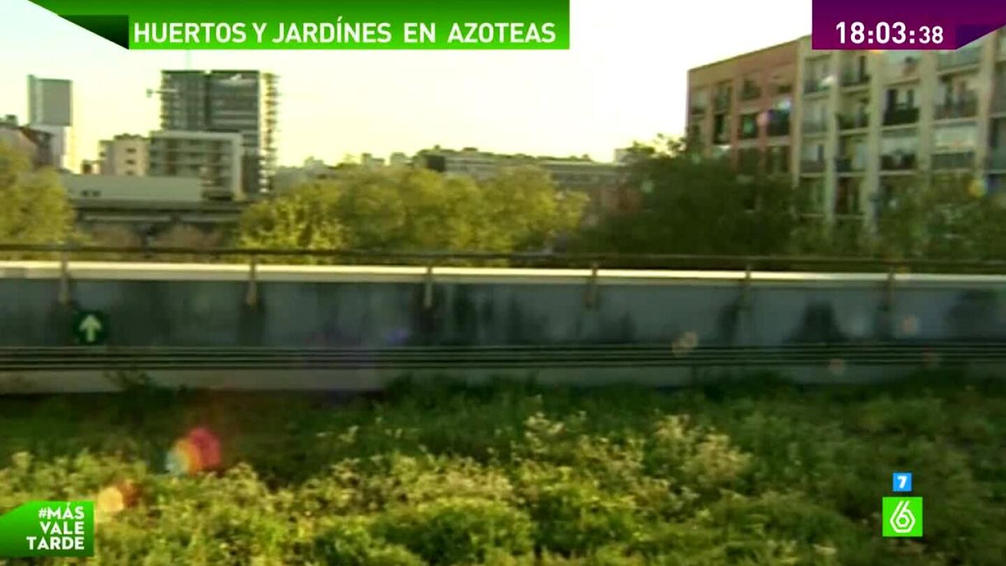 Jardines y huertos en las azoteas de los edificios