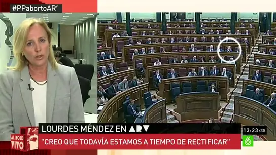 Lourdes Méndez, diputada del PP Lourdes Méndez, diputada del PP