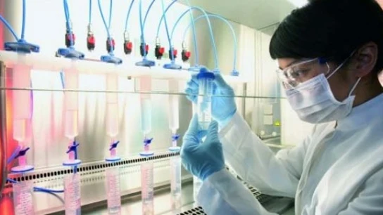 Investigan un medicamento para combatir la esclerosis múltiple Investigan un medicamento para combatir la esclerosis múltiple