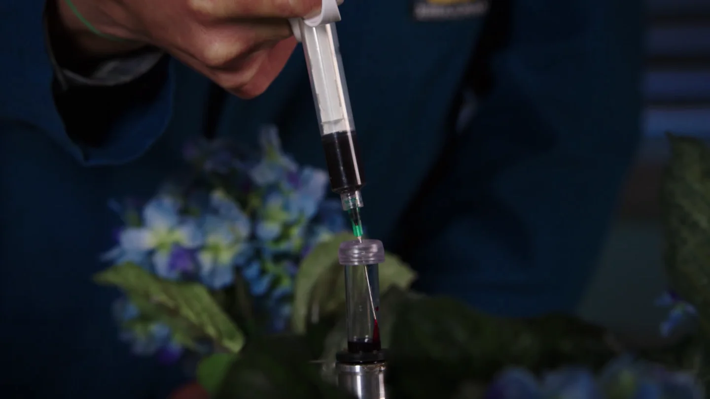 El experimento del doctor Hodgins para averiguar la hora de la muerte de Randall Fairbanks El experimento del doctor Hodgins para averiguar la hora de la muerte de Randall Fairbanks