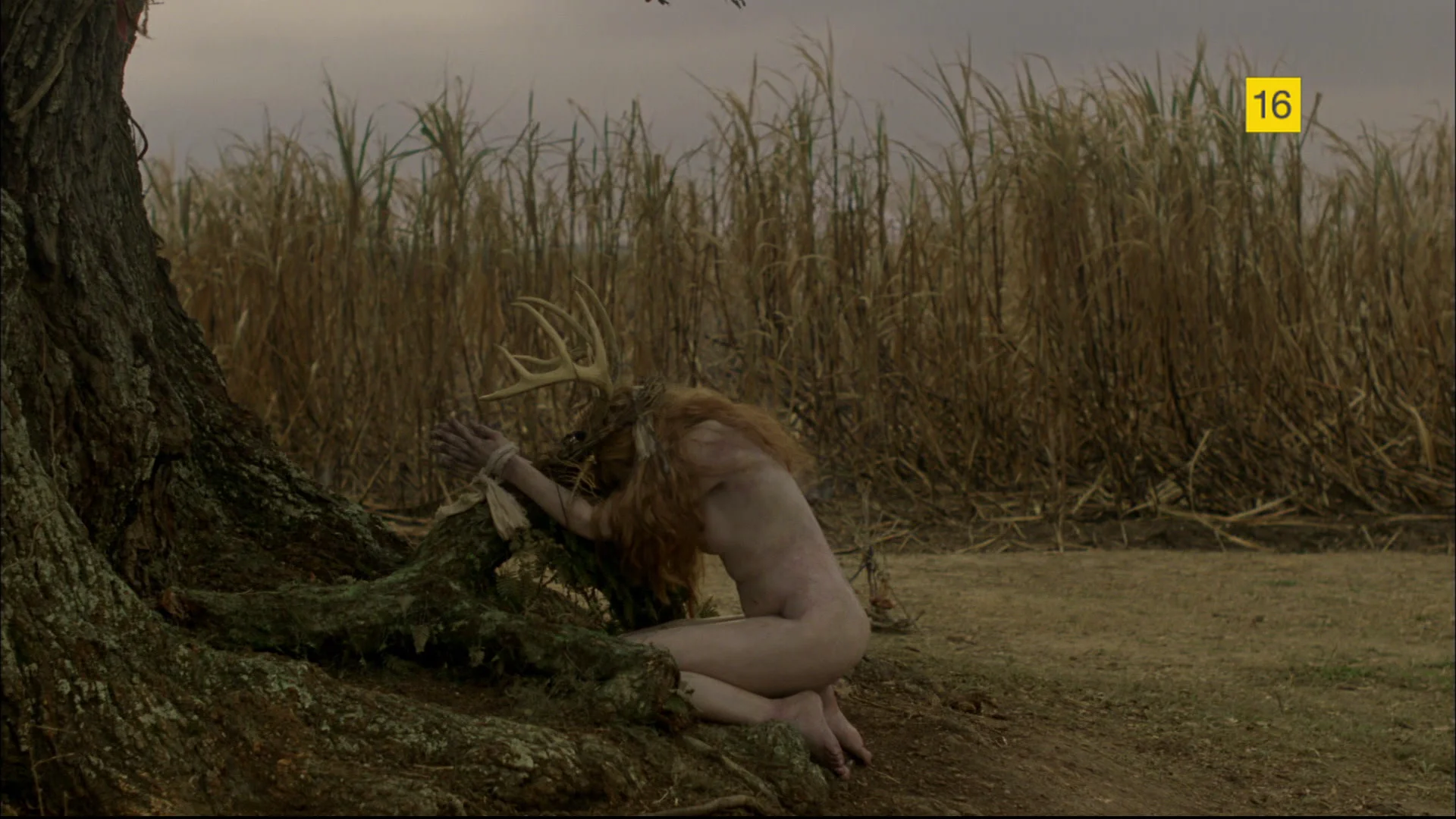 True Detective True Detective