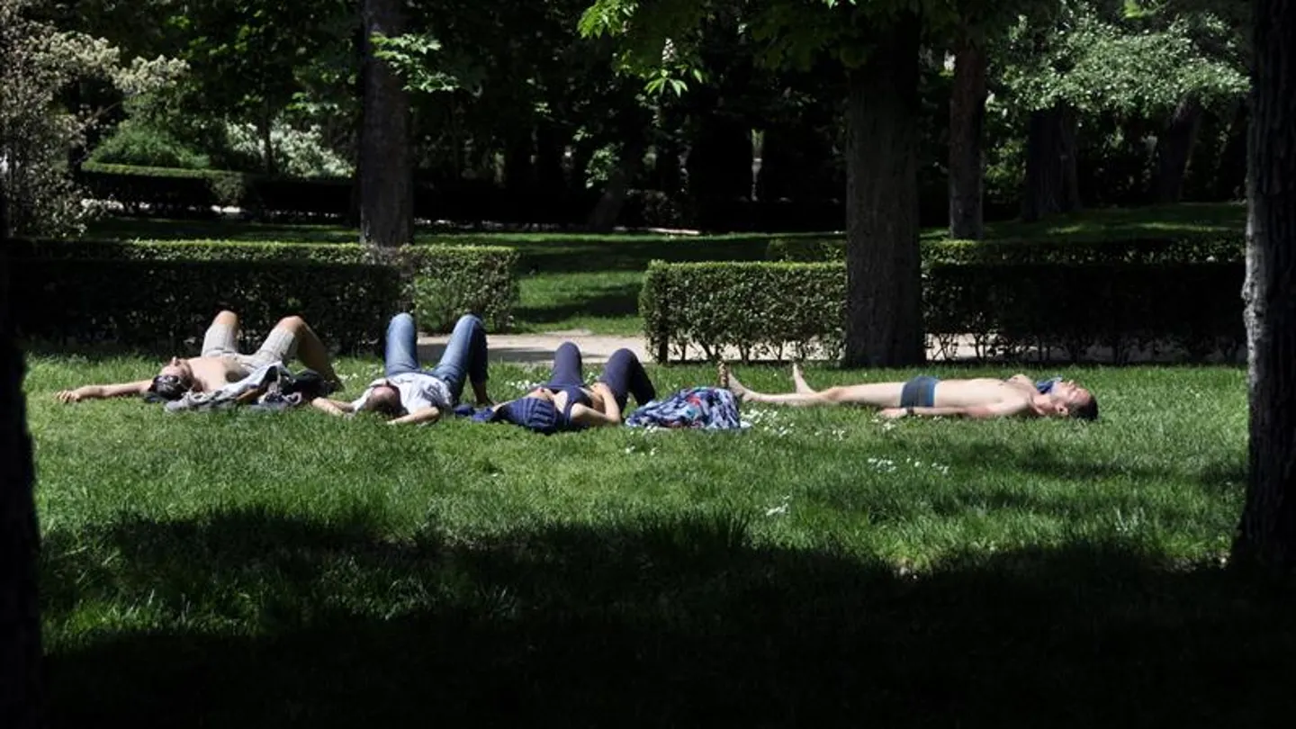 Jóvenes en un parque Jóvenes en un parque