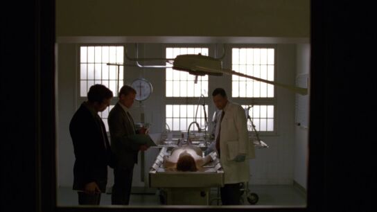 El forense desvela la autopsia de la mujer asesinada en el campo de ca&ntilde;a de az&uacute;car 