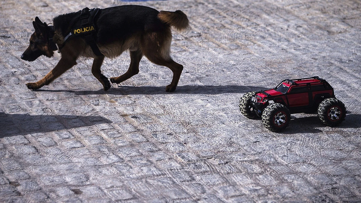 Perro policía