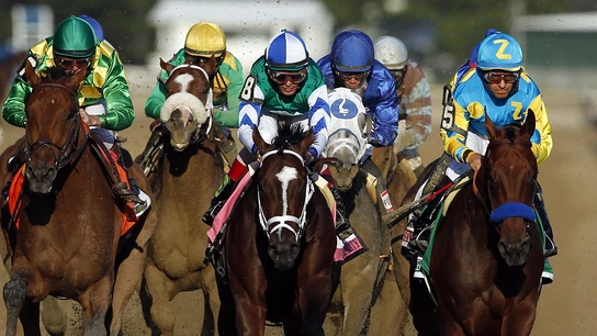 Carrera de Caballos Carrera de caballos