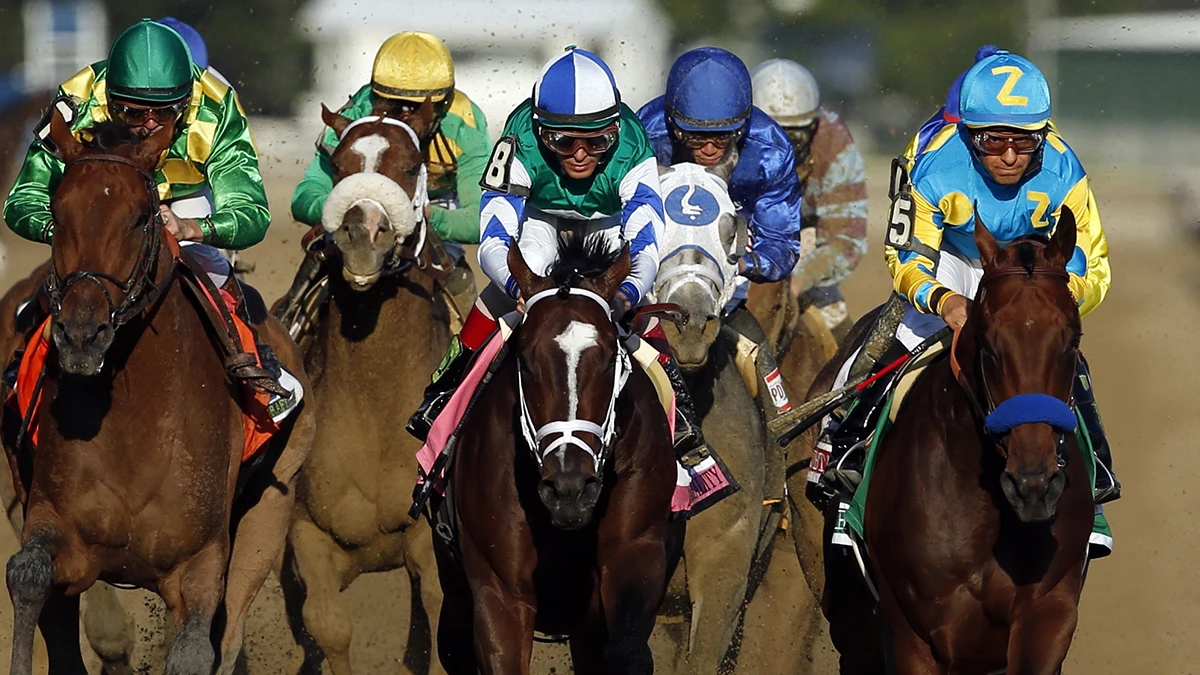 Carrera de caballos 