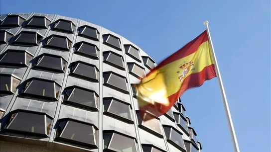 Tribunal Constitucional (TC) Tribunal Constitucional (TC)