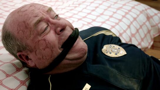 El v&aacute;stago se &lsquo;alimenta&rsquo; para hacerse m&aacute;s fuerte 