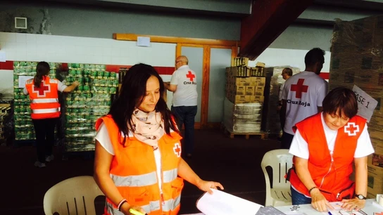 Cruz Roja Gijón Reparto de alimentos en el Complejo Deportivo de Las Mestas en Gijón