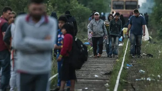 Inmigrantes caminan sobre las vías de un tren en la frontera entre Hungría y Serbia Inmigrantes caminan sobre las vías de un tren en la frontera entre Hungría y Serbia