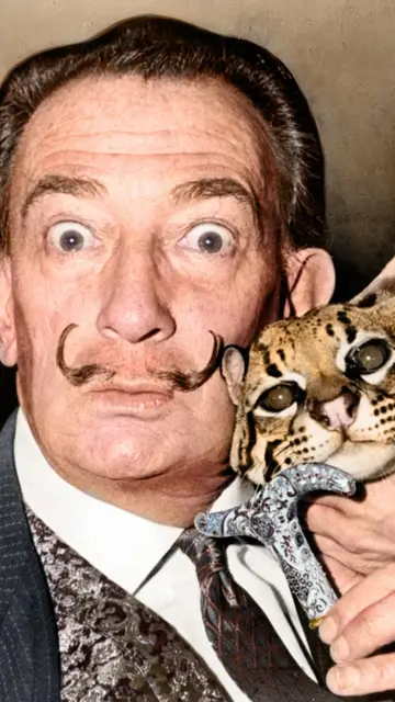 Salvador Dalí con un ocelote en 1965 Salvador Dalí con un ocelote en 1965