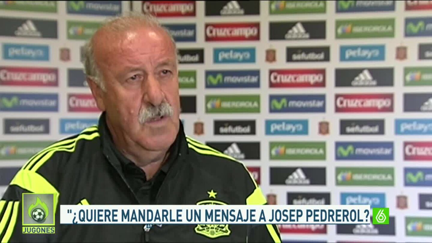 Vicente Del Bosque