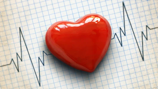 Imagen de archivo de un corazón Imagen de archivo de un corazón