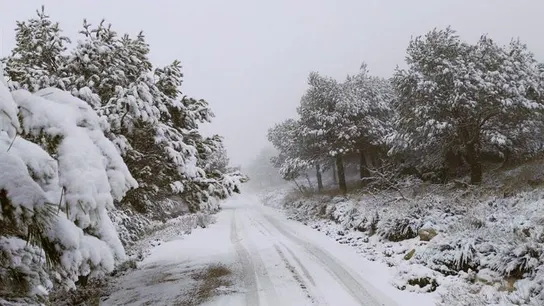 Nieve en carreteras de montaña Nieve en carreteras de montaña