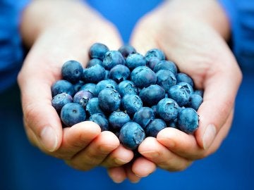 Los arándanos podrían ser buenos para combatir el Alzheimer Los arándanos podrían ser buenos para combatir el Alzheimer