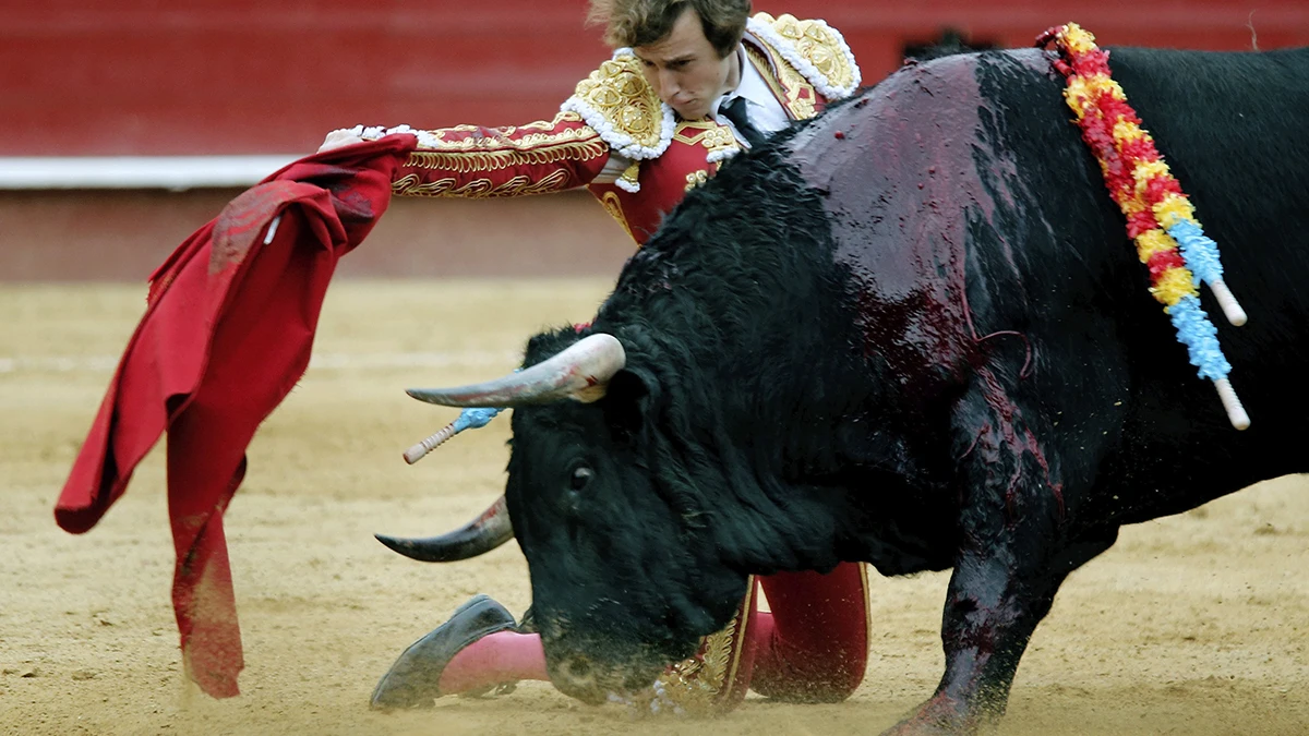 El torero valenciano Román, único matador de toros que cortó una oreja