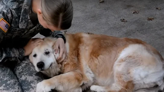 Imagen del emotivo reencuentro de la dueña con su perro Imagen del emotivo reencuentro de la dueña con su perro