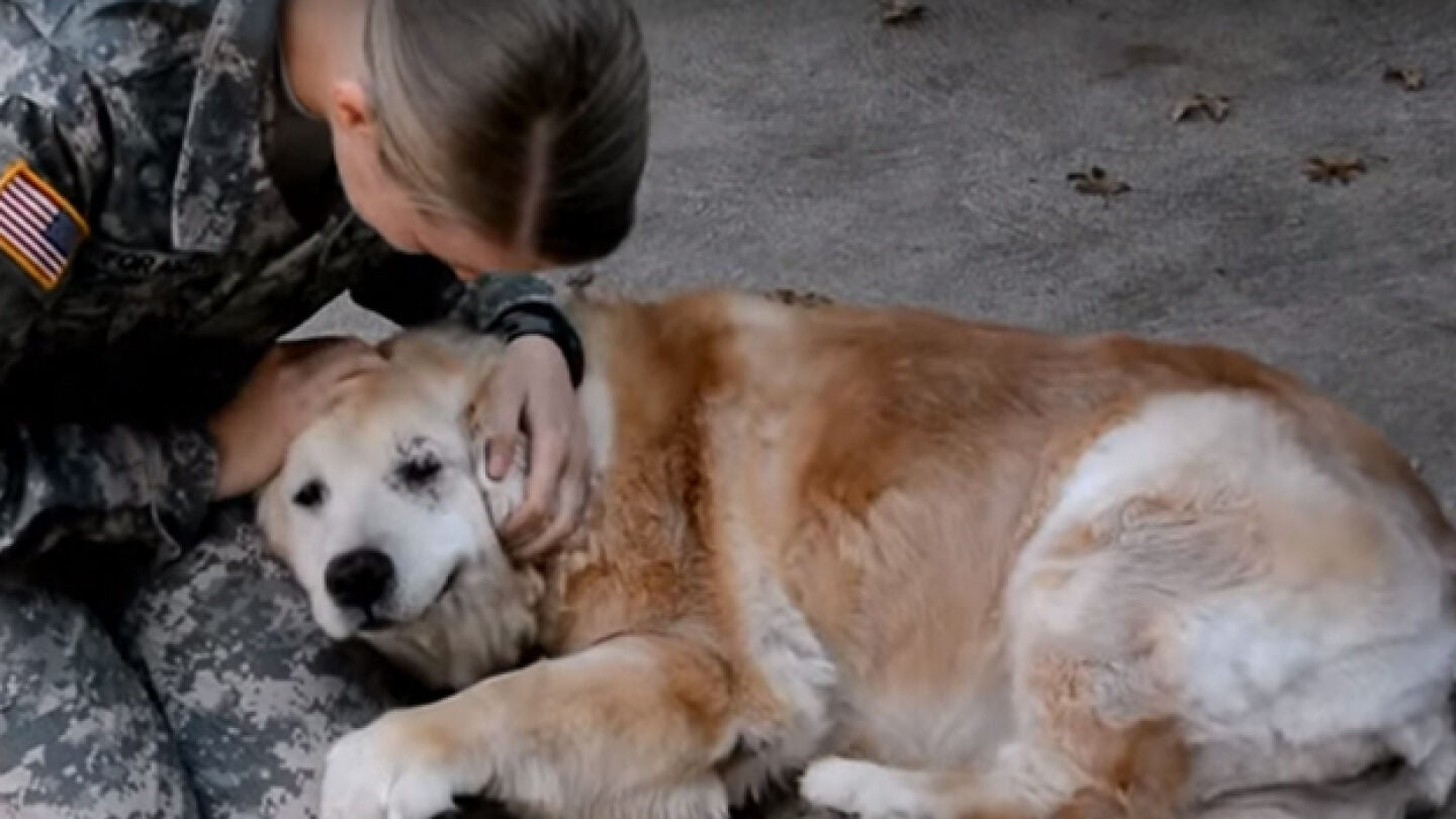Imagen del emotivo reencuentro de la due&ntilde;a con su perro