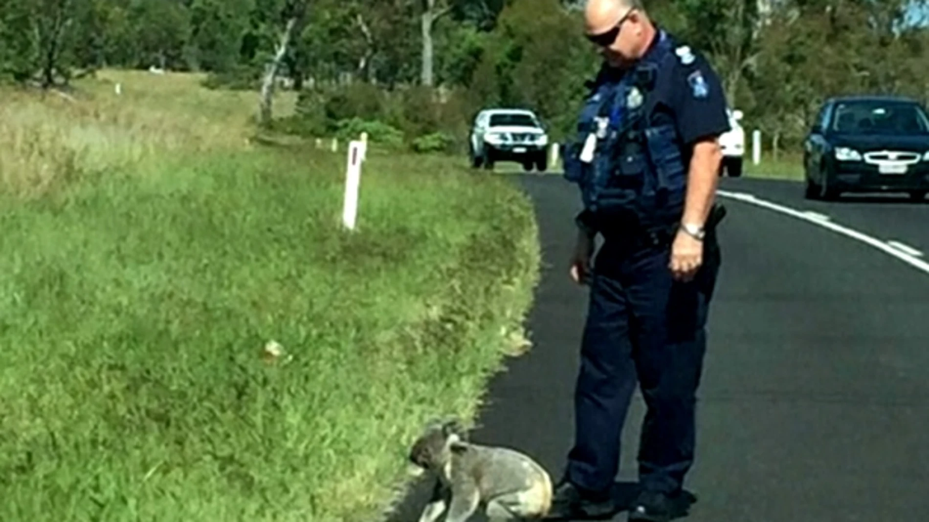 Imagen del policía con el koala