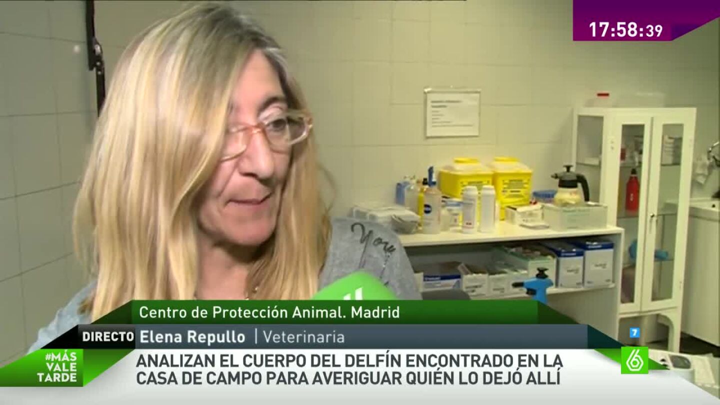 Elena Repullo en MVT