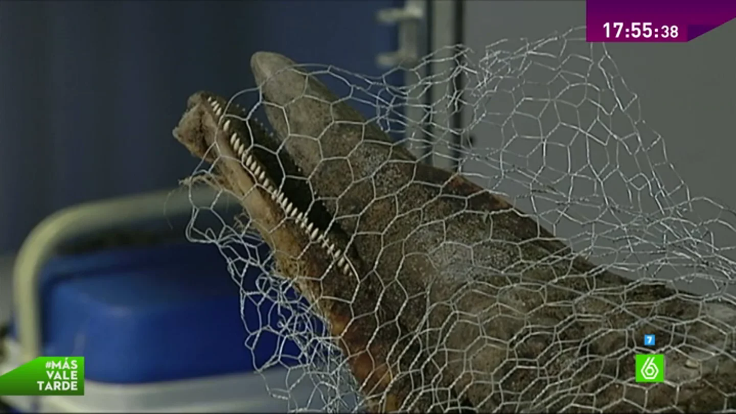 00822 00822