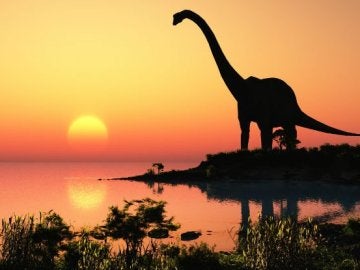 La extinción de los dinosarios pudo ser provocada por el Planeta Nueve