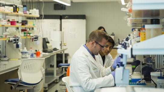 Cient&iacute;ficos trabajando en un laboratorio