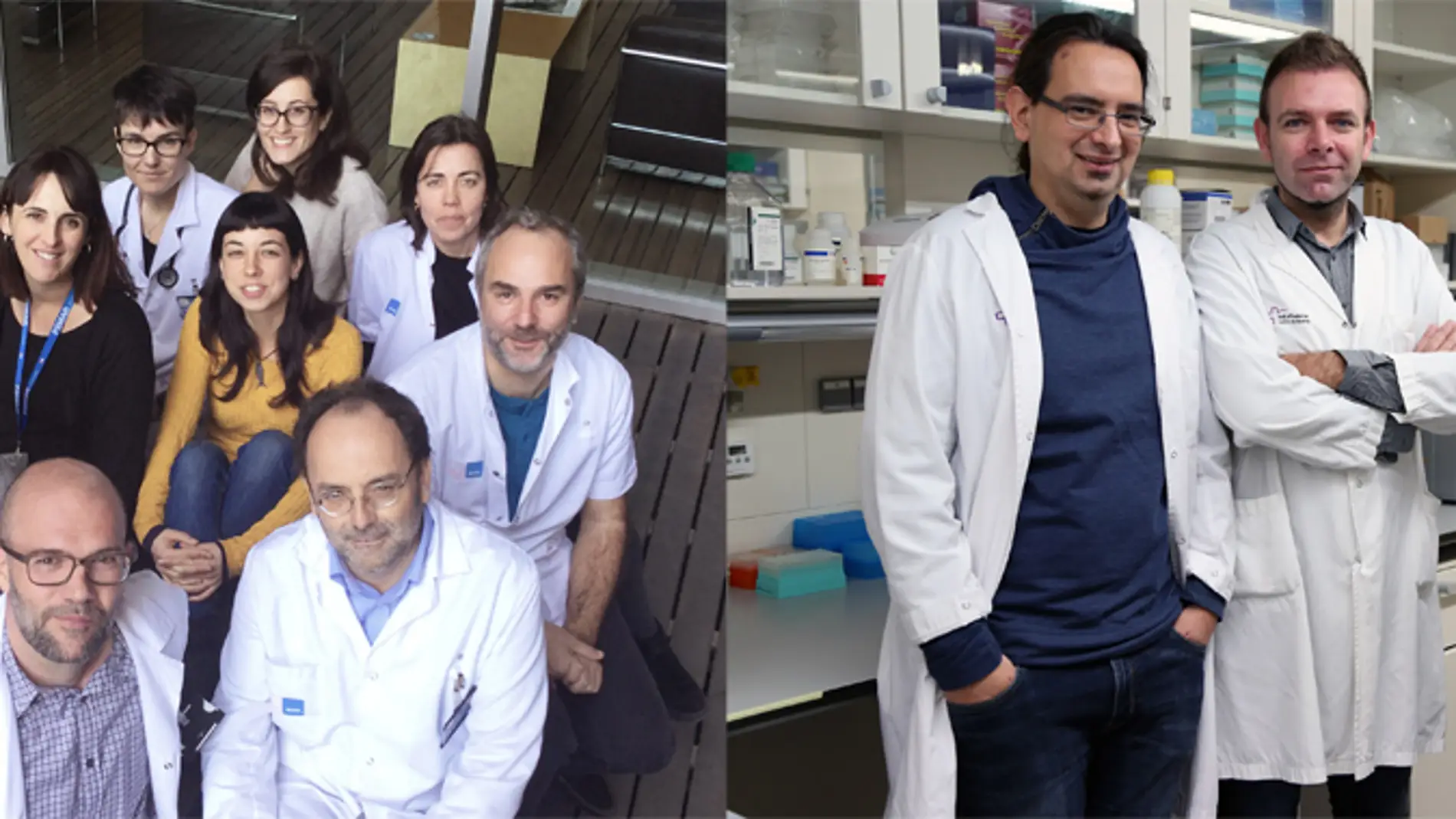 Equipo investigador