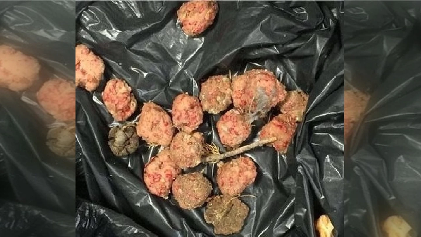 Albóndigas envenenadas Albóndigas envenenadas