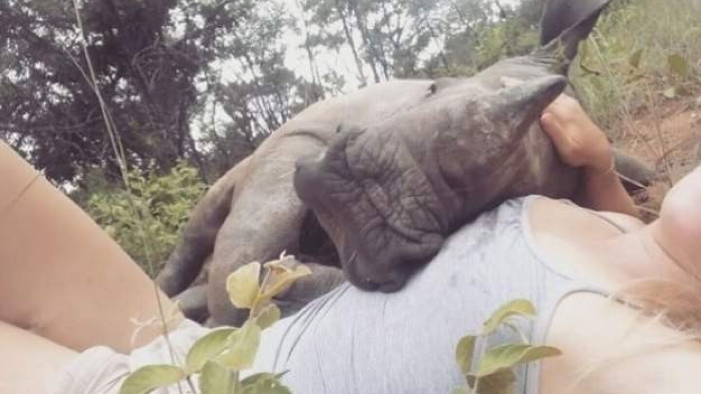 Kabelo duerme una siesta junto a Laura Ellison