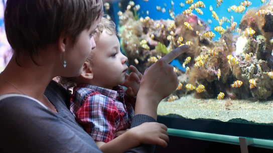 Una madre y su hijo en un acuario Una madre y su hijo en un acuario