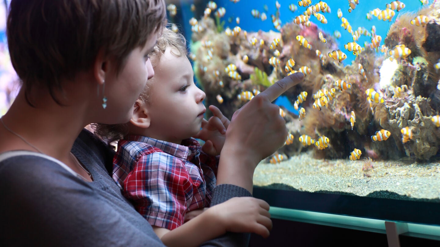 Una madre y su hijo en un acuario
