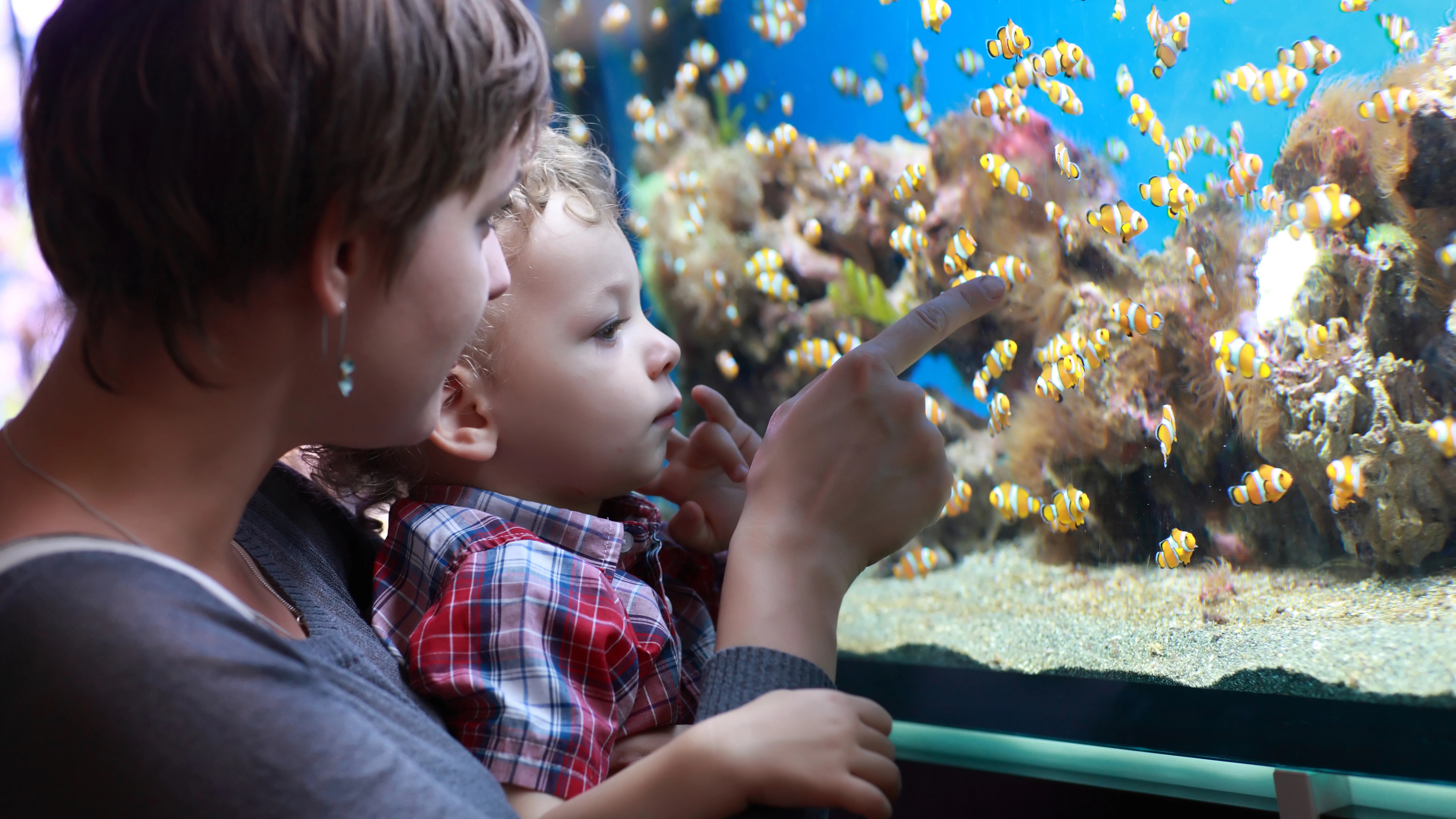 Una madre y su hijo en un acuario