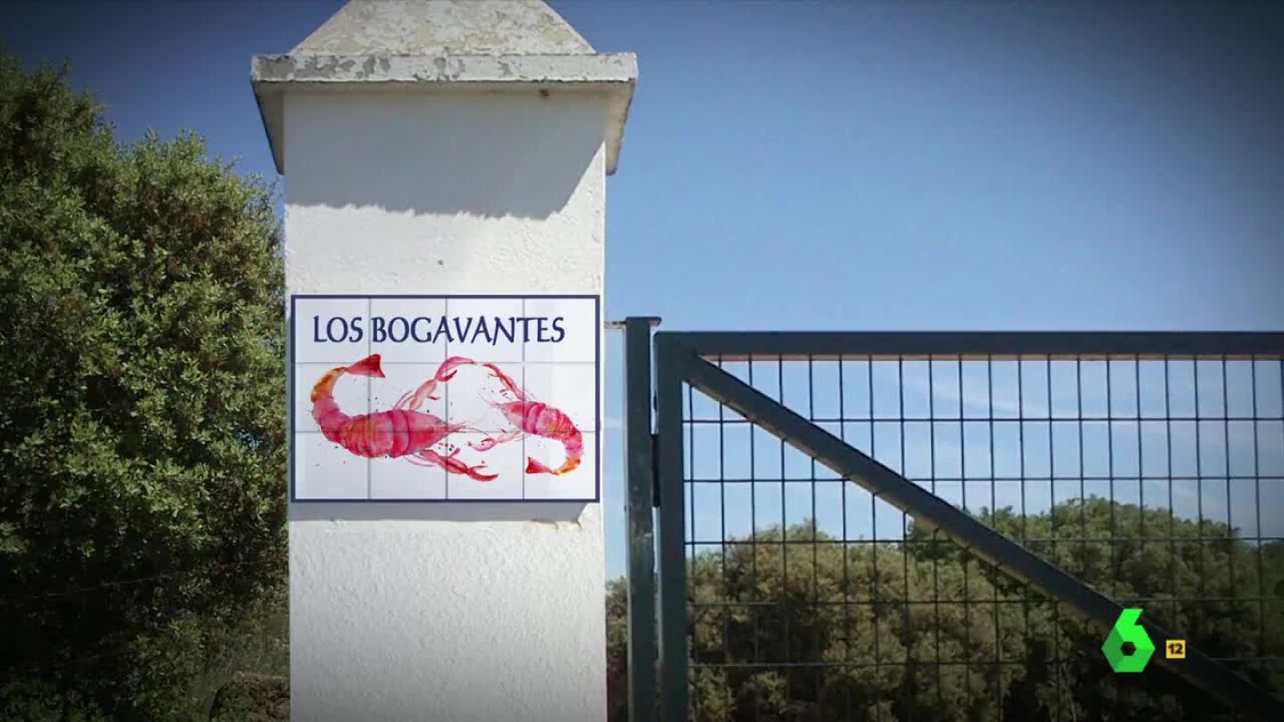 Los Bogavantes