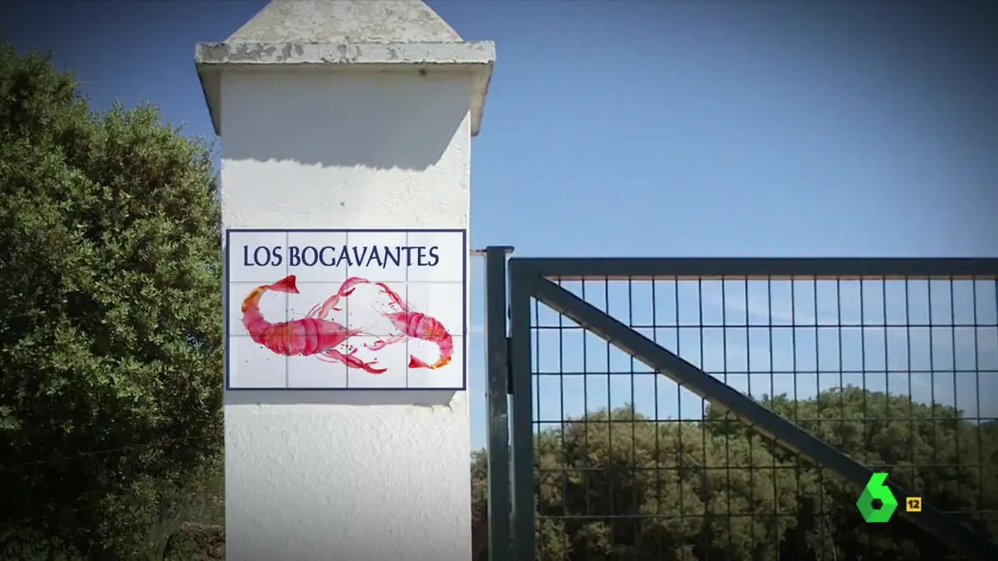 Los Bogavantes Los Bogavantes