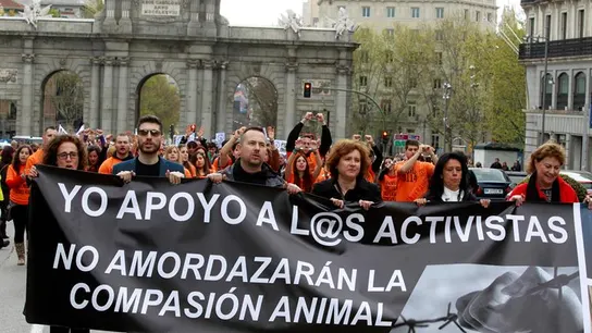 Asociaciones animalistas marchan en apoyo a animalistas multados por protestar contra el maltrato animal Asociaciones animalistas marchan en apoyo a animalistas multados por protestar contra el maltrato animal