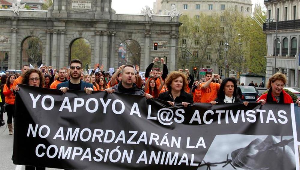 Más de 70 asociaciones marchan en apoyo a los activistas detenidos por  protestar contra el maltrato animal