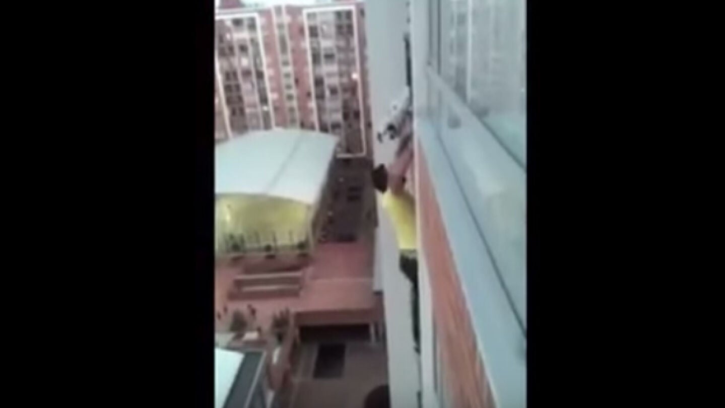 Rescate de un berro en un balc&oacute;n en Colombia