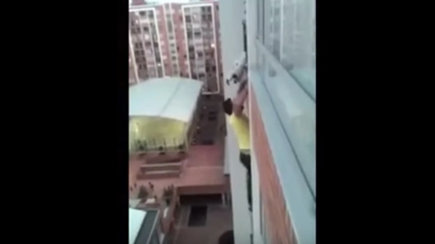 Rescate de un berro en un balcón en Colombia Rescate de un berro en un balcón en Colombia