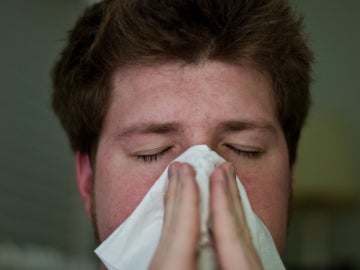 ¿Será el fin de las alergias?