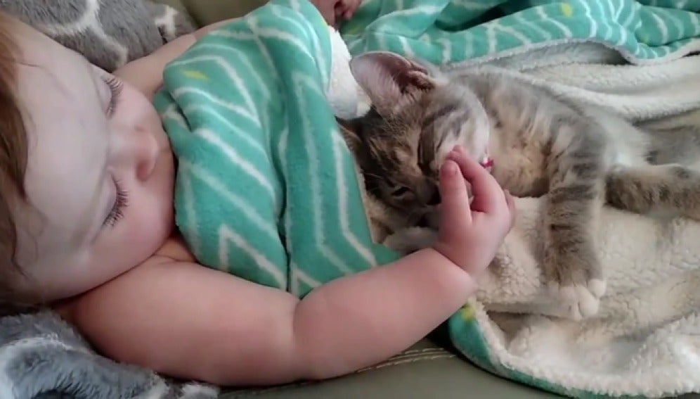 El enternecedor despertar de un bebé y su gatita enamora a la red