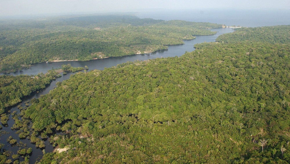 Fotografía de la floresta amazónica brasileña
