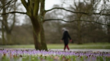 Llega la primavera