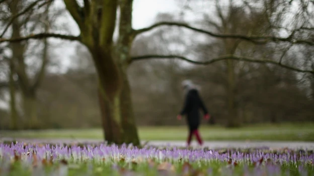 Llega la primavera