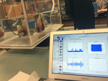 ¿Es posible transmitir ondas de radio a través del cuerpo humano?